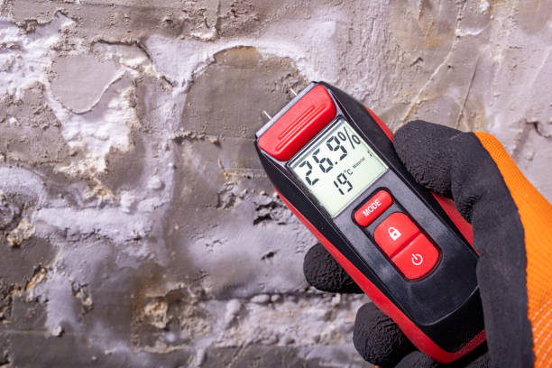 Best Post-Remediation Services in Park City, IL