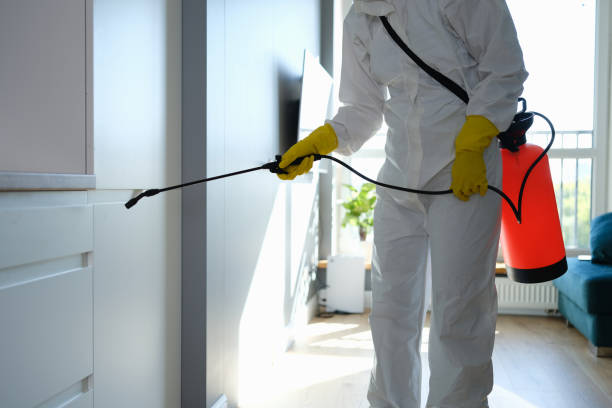 Best Residential Mold Remediation in Park City, IL