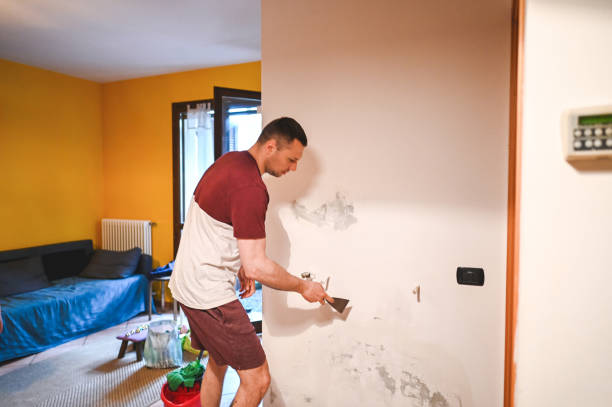 Best Health and Safety Mold Remediation in Park City, IL